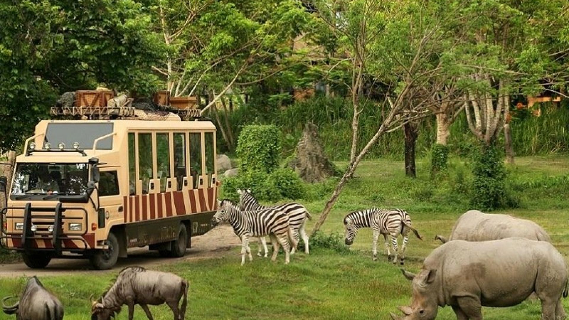 jungle safari bangkok price